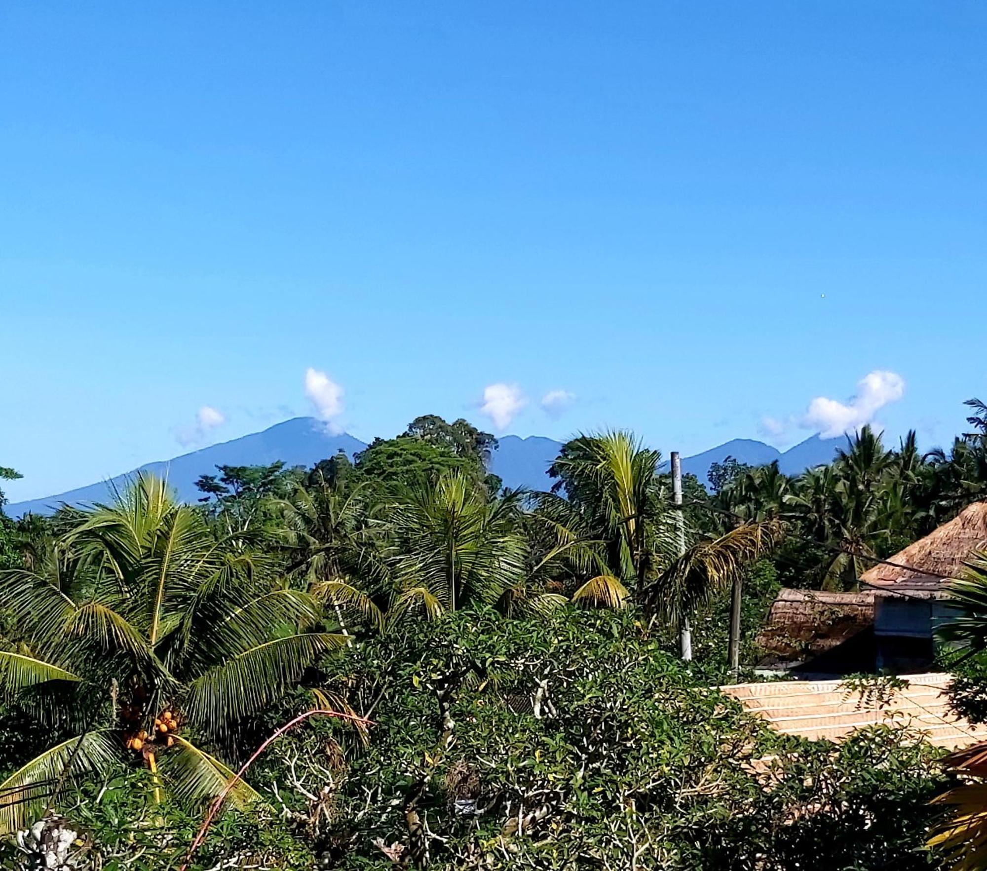 Mandala Blu Wellness Hotel Ubud  Exterior photo